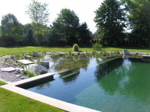 piscine naturelle rectangulaire